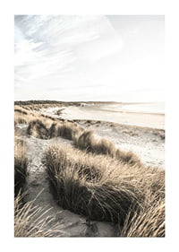 Photographic motif of sand dunes and beach in soft evening light-1