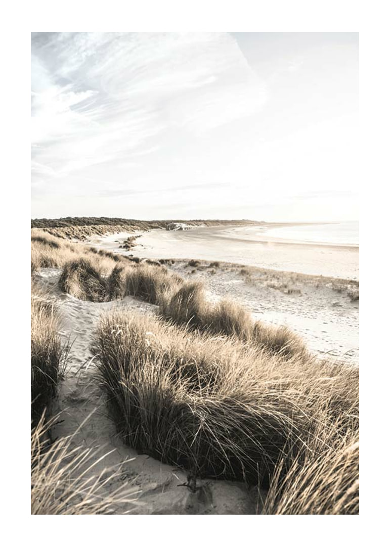 Photographic motif of sand dunes and beach in soft evening light-12