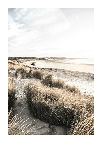 Poster Sand Dunes At Sunset