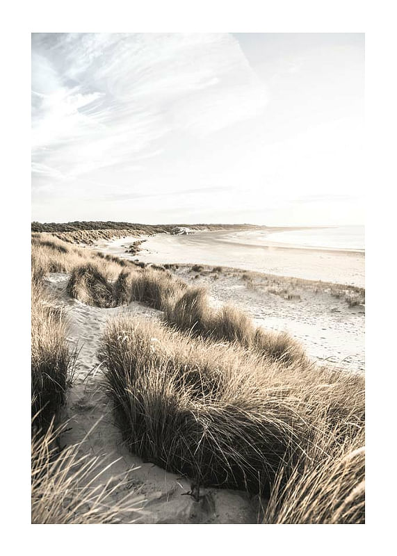 Poster Sand Dunes At Sunset