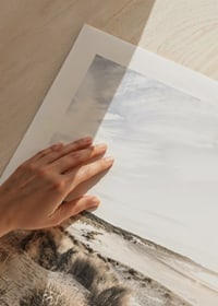 Photographic motif of sand dunes and beach in soft evening light-9