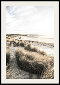 Photographic motif of sand dunes and beach in soft evening light-2
