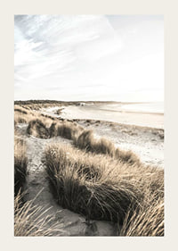 Photographic motif of sand dunes and beach in soft evening light-3