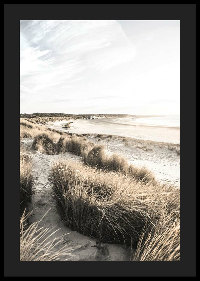 Photographic motif of sand dunes and beach in soft evening light-12
