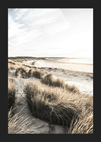 Photographic motif of sand dunes and beach in soft evening light-5