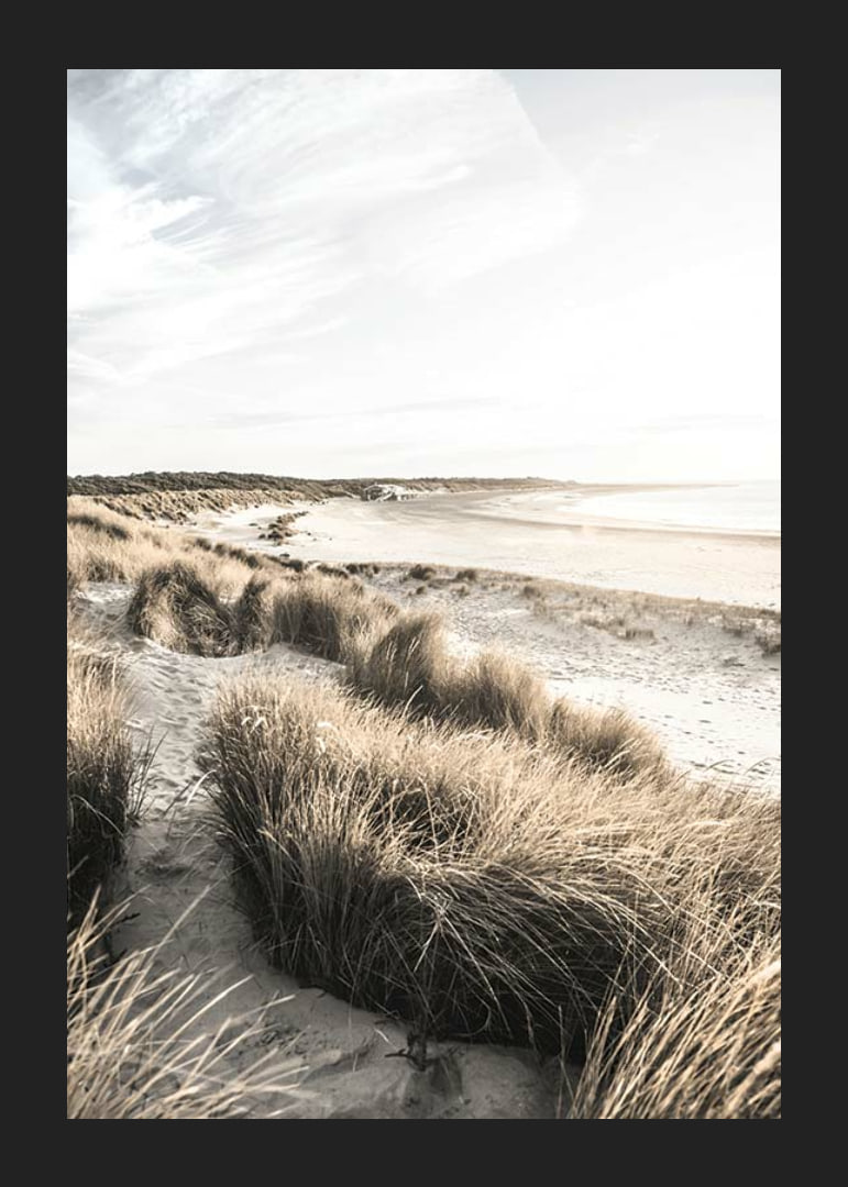 Photographic motif of sand dunes and beach in soft evening light-12