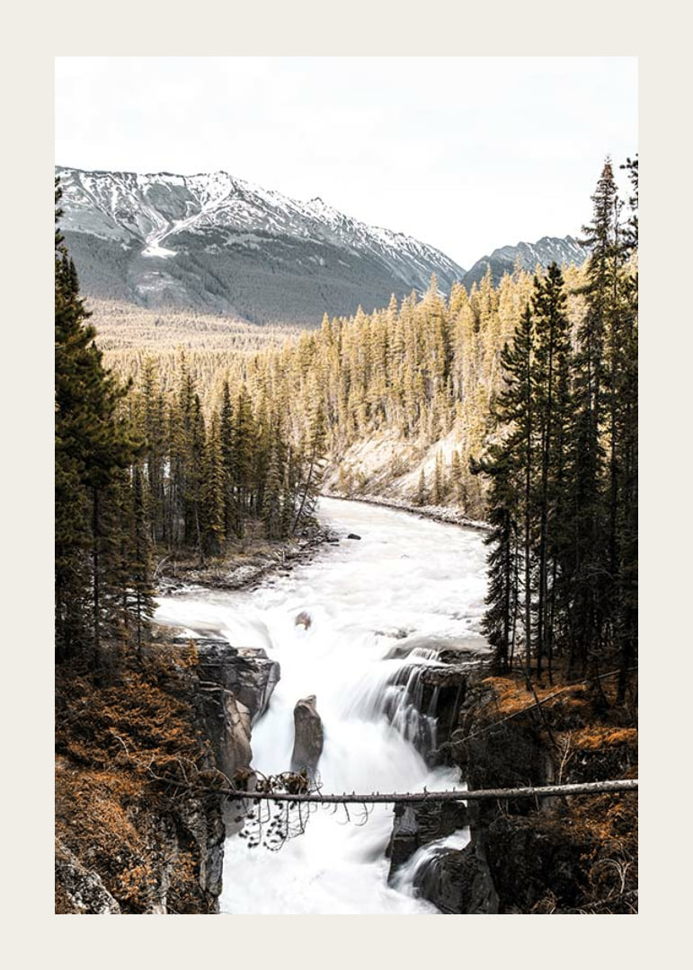 Photograph of cascading waterfall with pine forest and snow-capped mountains-12
