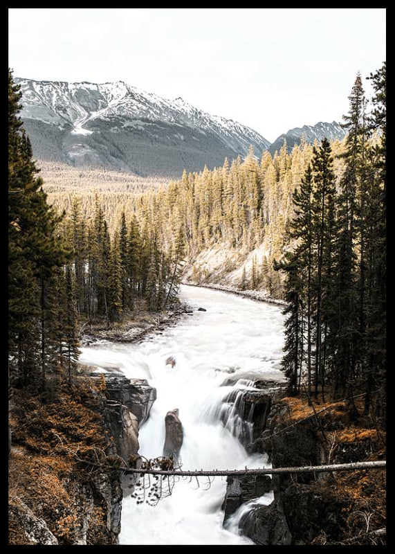 Photograph of cascading waterfall with pine forest and snow-capped mountains-12