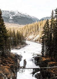 Photograph of cascading waterfall with pine forest and snow-capped mountains-7