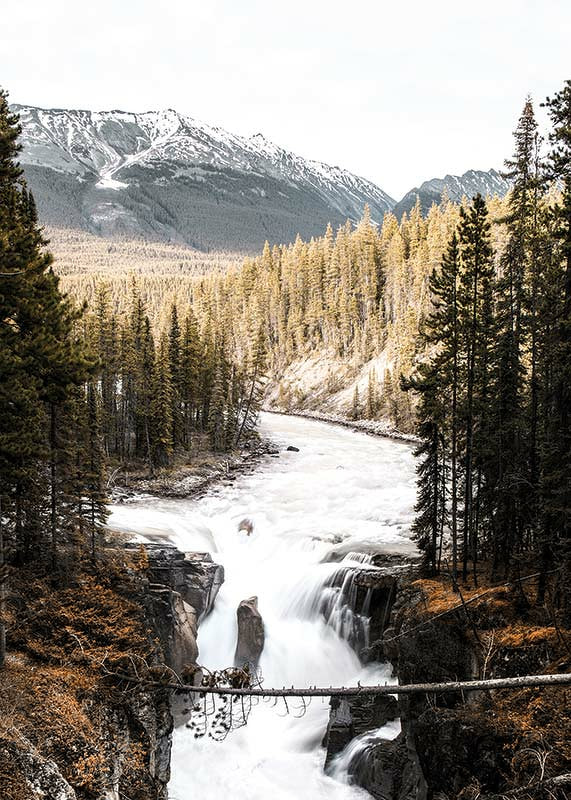 Photograph of cascading waterfall with pine forest and snow-capped mountains-12