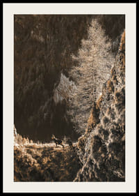 Fotografi af to geder på en bjergskråning i efterårsfarver-2