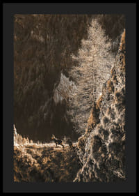 Fotografi af to geder på en bjergskråning i efterårsfarver-4