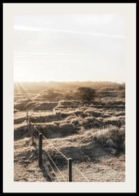 Photographie d'un paysage hollandais ouvert dans la lumière d'automne-2