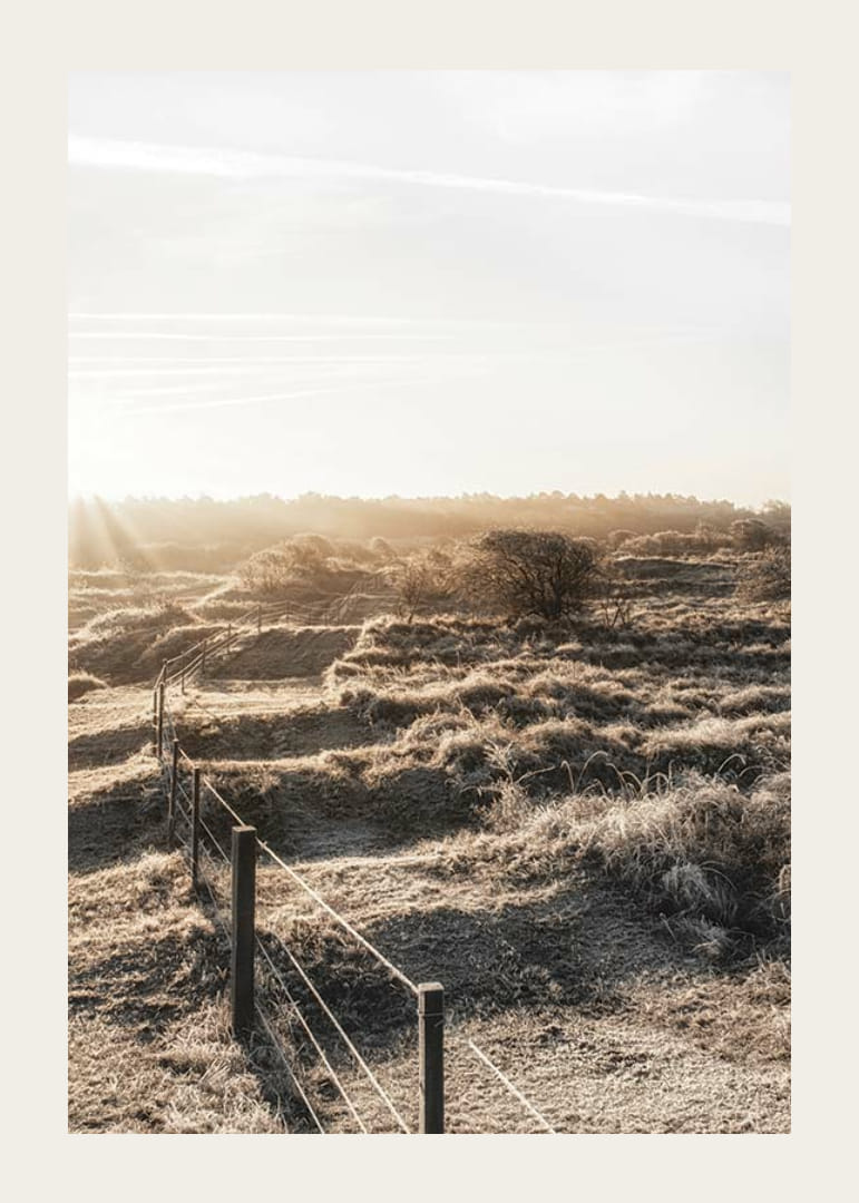 Photographie d'un paysage hollandais ouvert dans la lumière d'automne-12