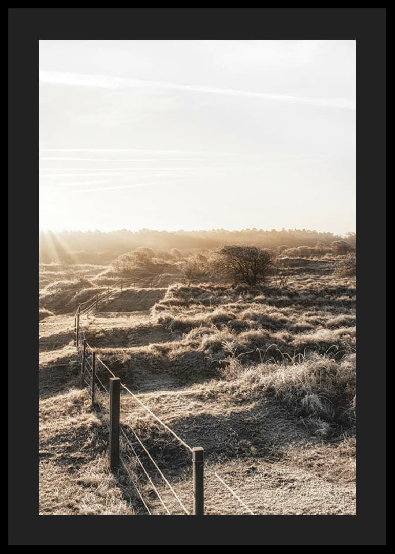 Photographie d'un paysage hollandais ouvert dans la lumière d'automne-12