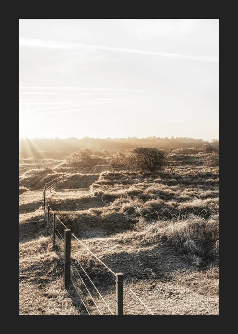 Photographie d'un paysage hollandais ouvert dans la lumière d'automne-12