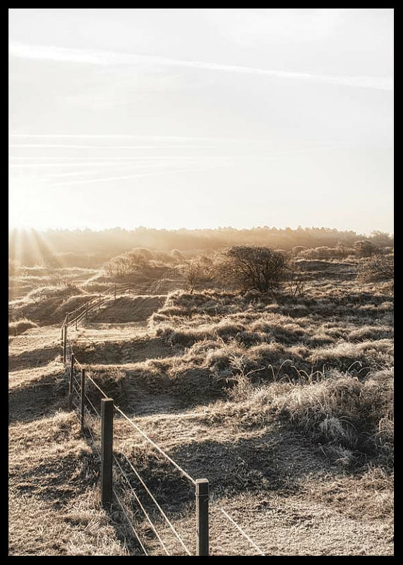 Dutch Landscape-12