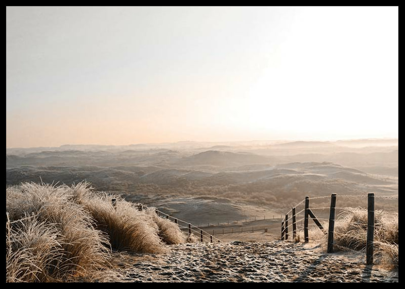 Fotografi av frostiga sanddyner i mjukt morgonljus-12