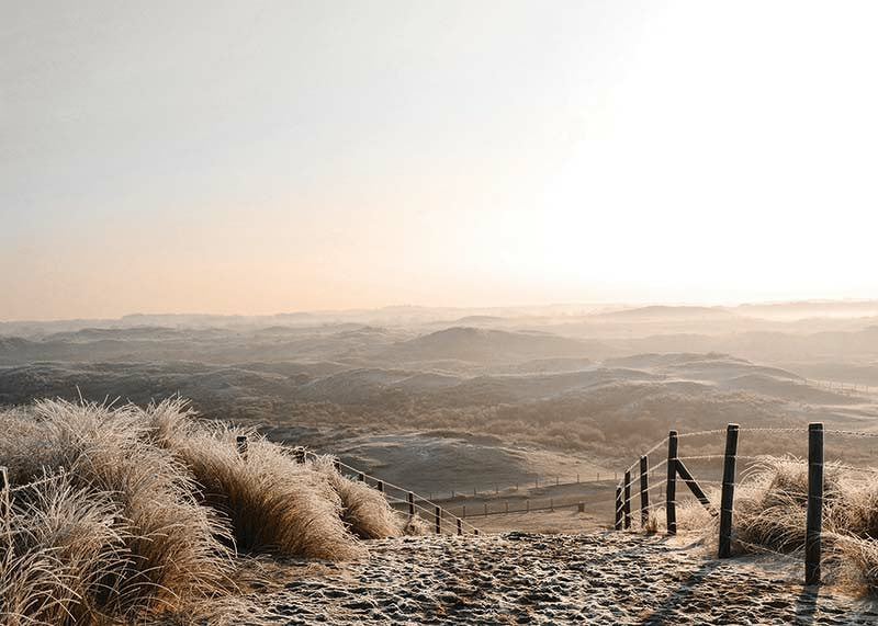 Fotografi av frostiga sanddyner i mjukt morgonljus-12