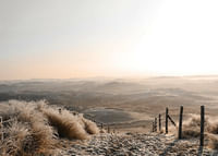Desert View-3