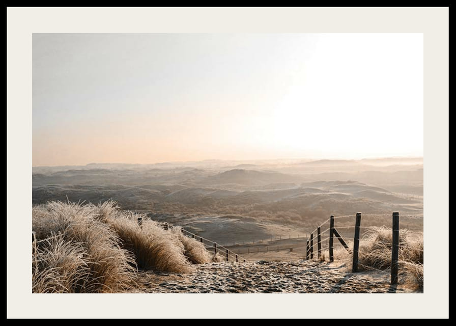 Foto van bevroren zandduinen in zacht ochtendlicht-12