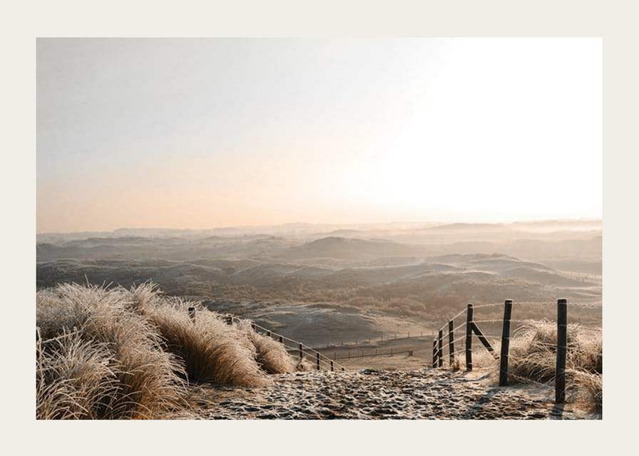 Foto van bevroren zandduinen in zacht ochtendlicht-12