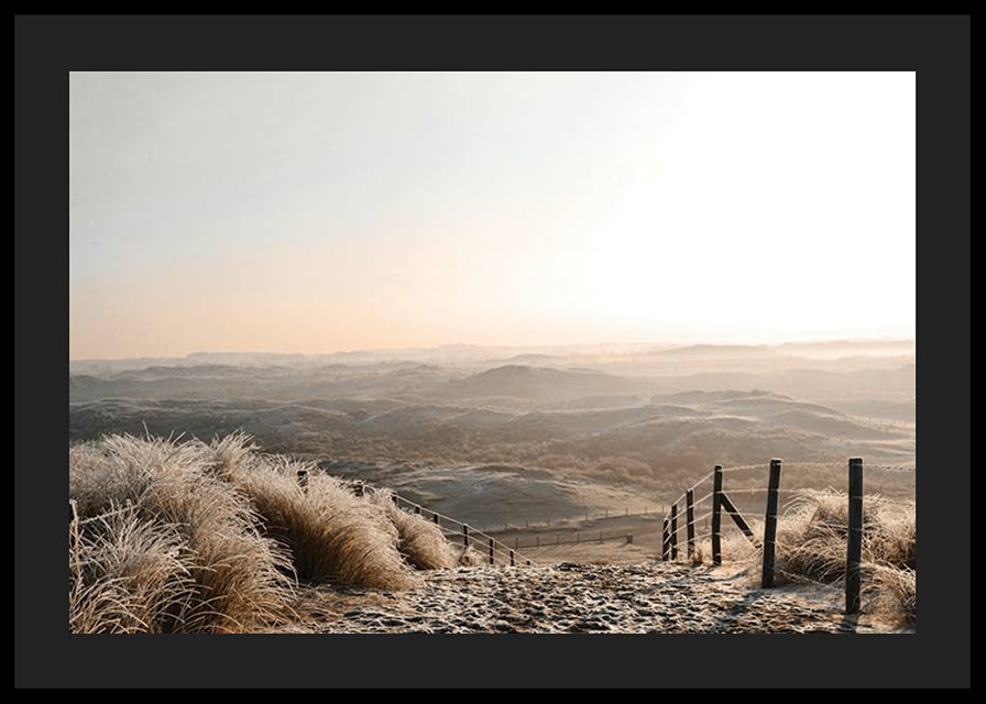 Fotografi av frostiga sanddyner i mjukt morgonljus-12