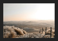 Fotografi av frostiga sanddyner i mjukt morgonljus-5