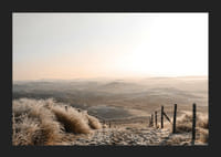 Foto van bevroren zandduinen in zacht ochtendlicht-5