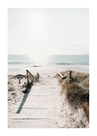 Sunny Horizon-1