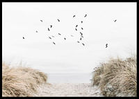Free As A Bird-2