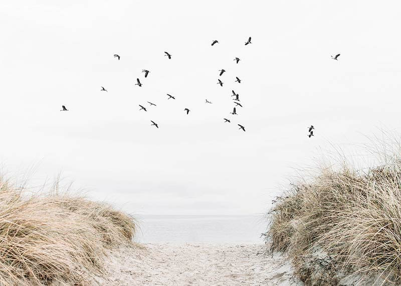 Photographic motif with sandy path towards the sea and flying birds-12