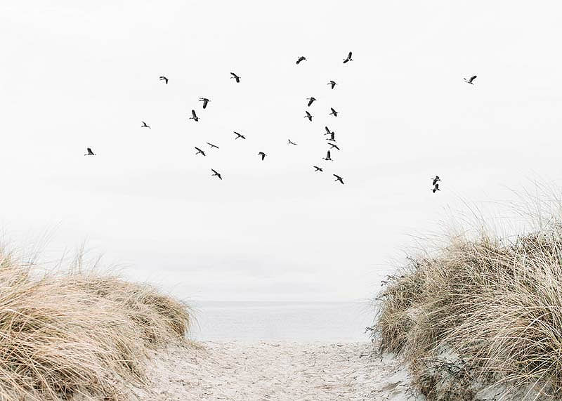 Free As A Bird-12