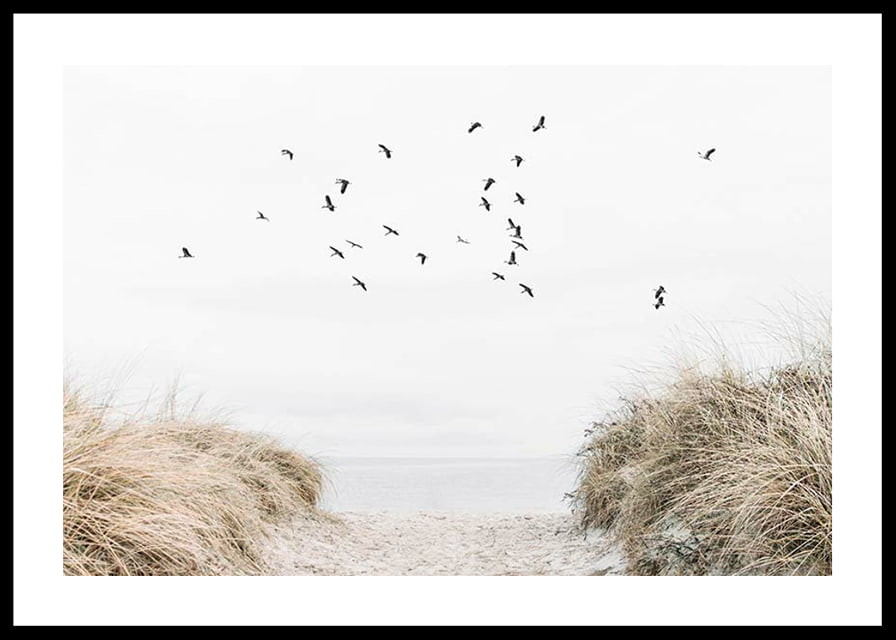 Photographic motif with sandy path towards the sea and flying birds-12