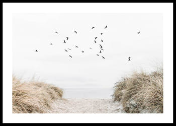 Poster Free As A Bird