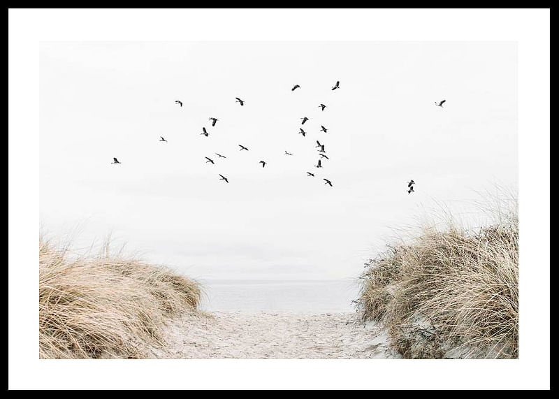 Free As A Bird-12