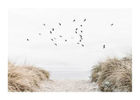 Free As A Bird-1