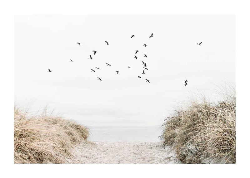 Free As A Bird-12