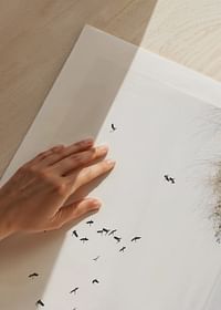 Free As A Bird-5
