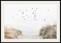 Photographic motif with sandy path towards the sea and flying birds-2