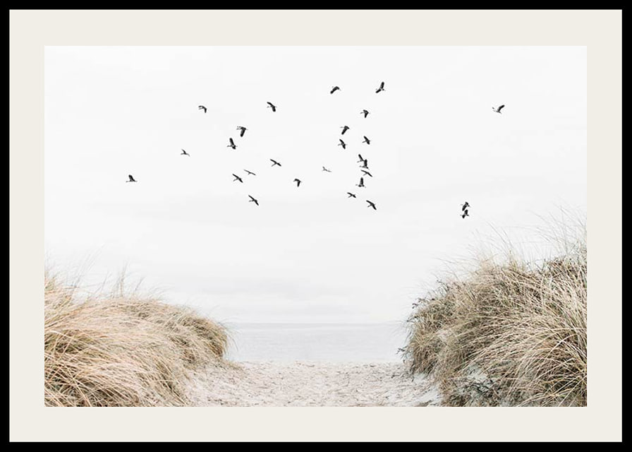 Photographic motif with sandy path towards the sea and flying birds-12