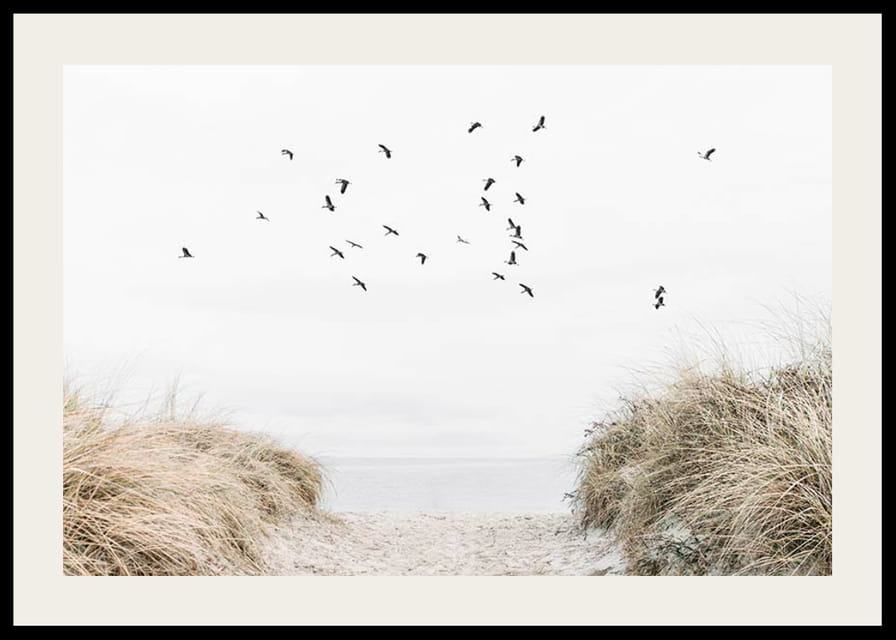 Valokuva-aihe, jossa on hiekkainen polku kohti merta ja lentäviä lintuja-12