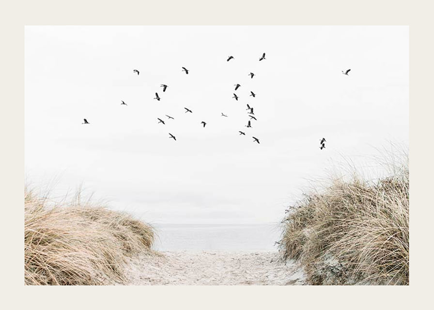 Photographic motif with sandy path towards the sea and flying birds-12