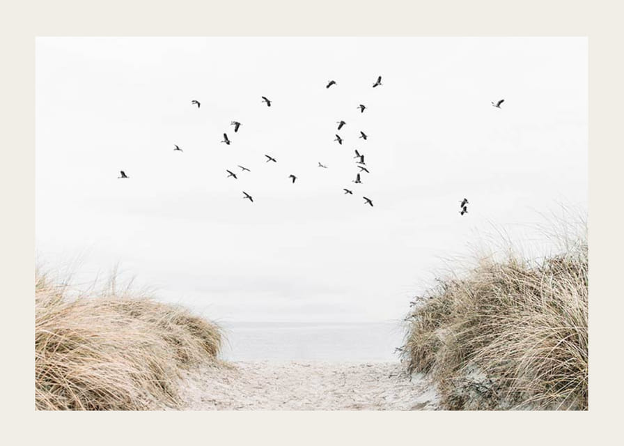 Valokuva-aihe, jossa on hiekkainen polku kohti merta ja lentäviä lintuja-12