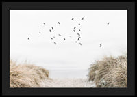 Photographic motif with sandy path towards the sea and flying birds-4