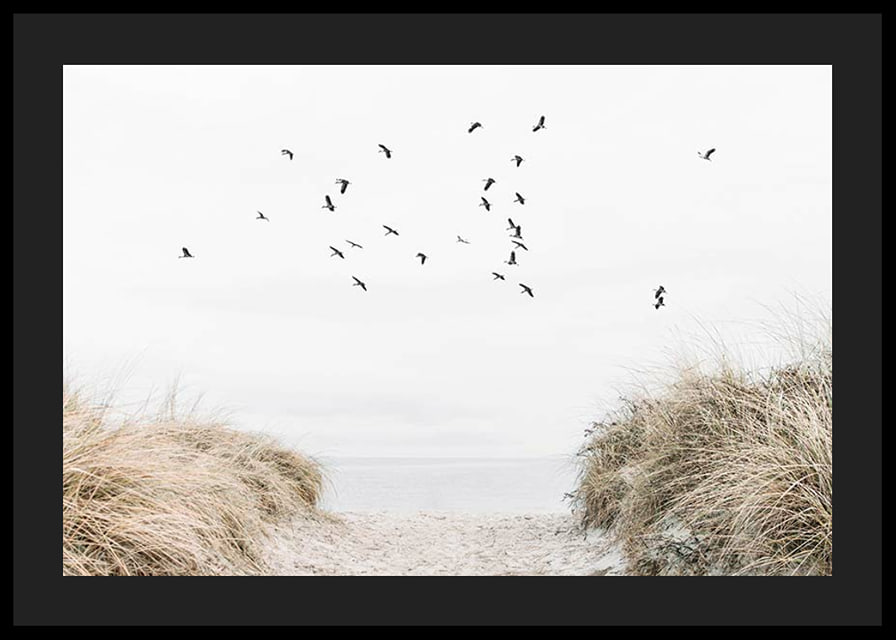 Photographic motif with sandy path towards the sea and flying birds-12
