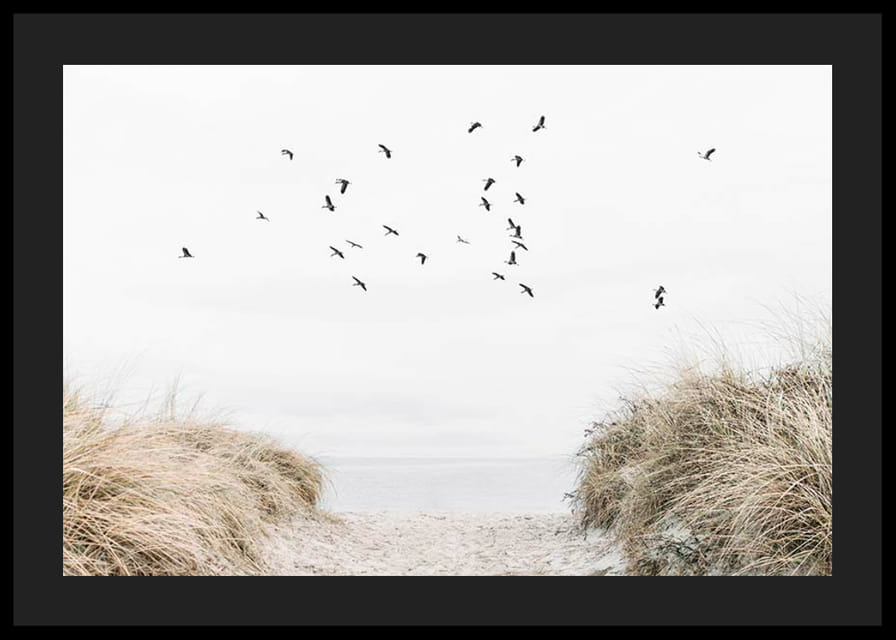 Valokuva-aihe, jossa on hiekkainen polku kohti merta ja lentäviä lintuja-12