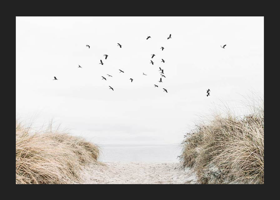 Valokuva-aihe, jossa on hiekkainen polku kohti merta ja lentäviä lintuja-12