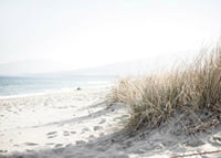 Photograph of beach rye and sandy beach in soft light tones-7