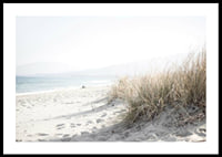 Photograph of beach rye and sandy beach in soft light tones-0
